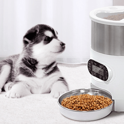 Smartpaws Remote-Controlled Pet Feeder: Automatic Food Dispenser With