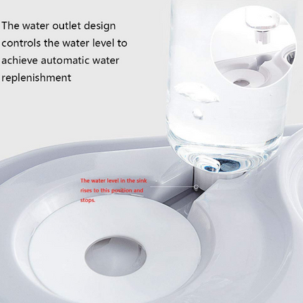 Stainless Steel Pet Bowls with Automatic Water Bottle