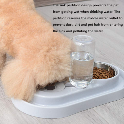 Stainless Steel Pet Bowls with Automatic Water Bottle