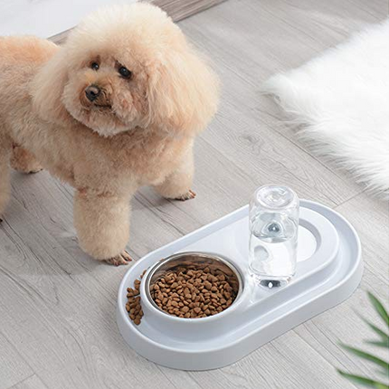 Stainless Steel Pet Bowls with Automatic Water Bottle