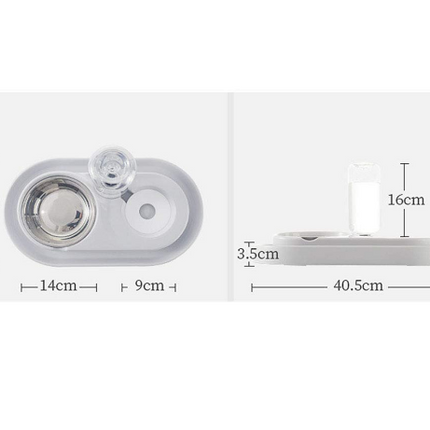 Stainless Steel Pet Bowls with Automatic Water Bottle