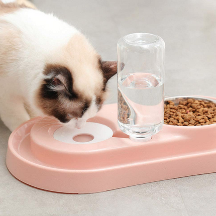 Stainless Steel Pet Bowls with Automatic Water Bottle