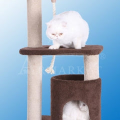 Collection image for: Home page