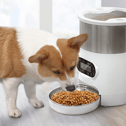 Smartpaws Remote-Controlled Pet Feeder: Automatic Food Dispenser With
